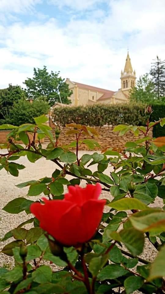 Les Jardins Du Castel Gites Annick Et Jean Paul Saint-Georges-d'Esperanche Buitenkant foto